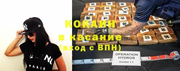 винт Алексин